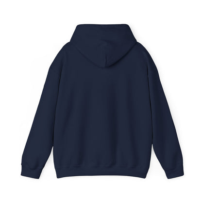 Argentina Mountain Sunrise Hoodie — Vintage Travel Graphic Pullover