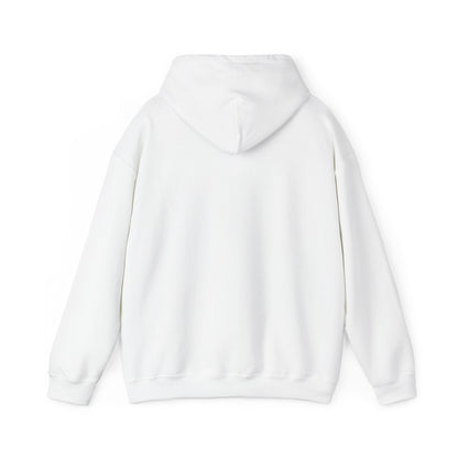 Argentina Icons Hoodie - Soccer, Mate & Culture Graphic Pullover