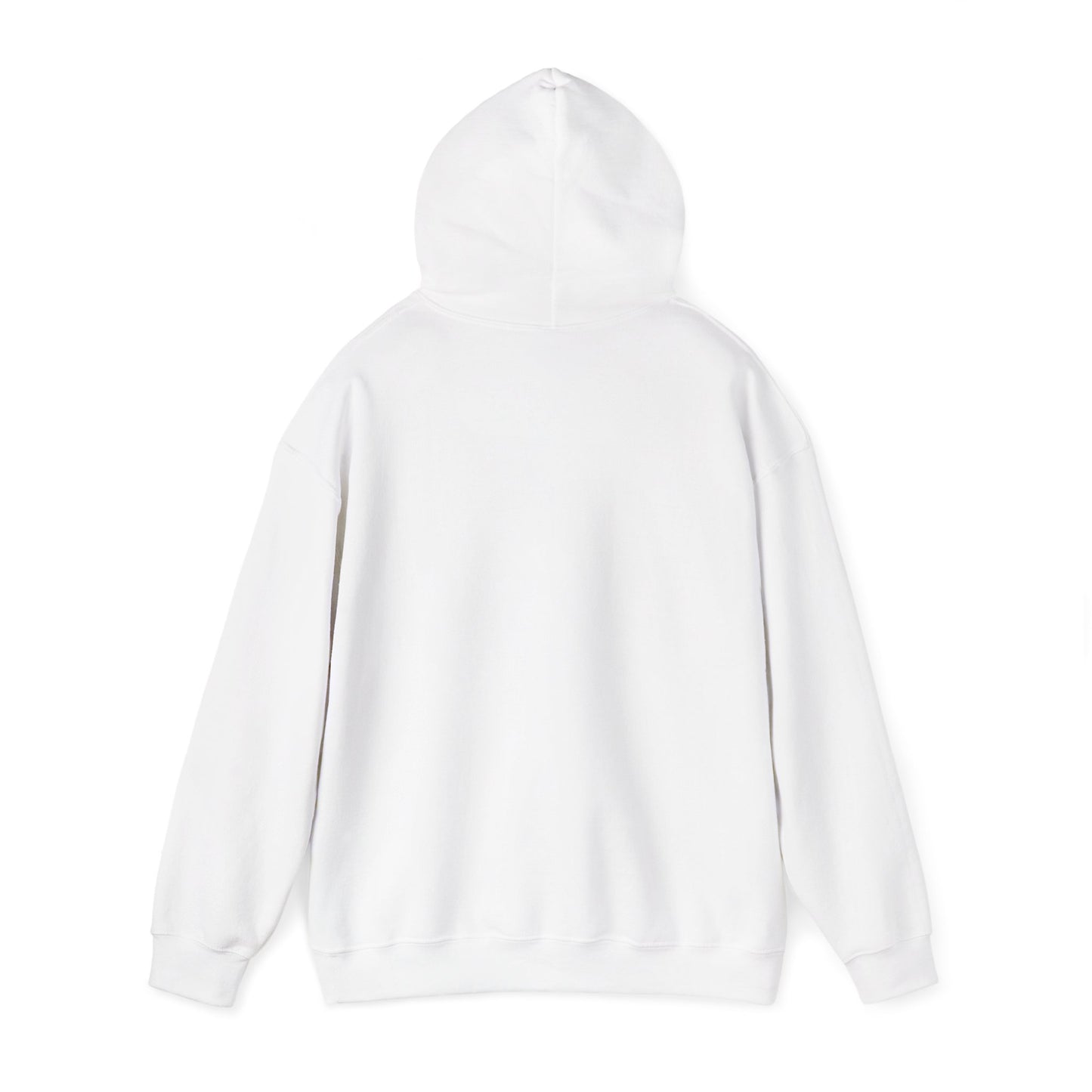 Argentina Mountain Sunrise Hoodie — Vintage Travel Graphic Pullover