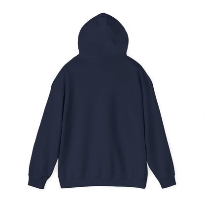 Argentina Mountain Sunrise Hoodie — Vintage Travel Graphic Pullover